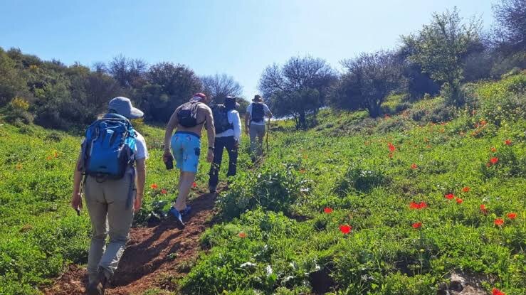A group walking along a trail through grass with red anemones